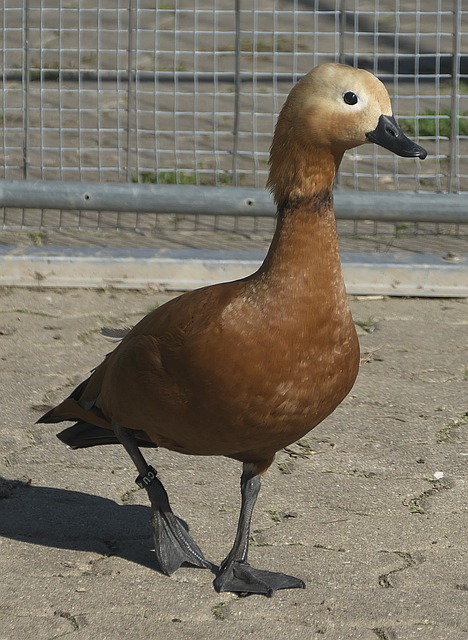 新审视自己